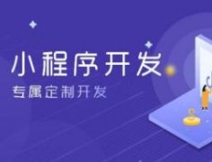 合肥寶安網(wǎng)站設(shè)計(jì)公司合肥寶安小程序開(kāi)發(fā)制作公司
