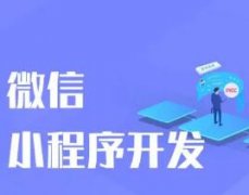 合肥龍華小程序開(kāi)發(fā)公司免費(fèi)體驗(yàn)系統(tǒng)開(kāi)發(fā)代運(yùn)營(yíng)