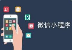 APP開(kāi)發(fā) 定制開(kāi)發(fā)